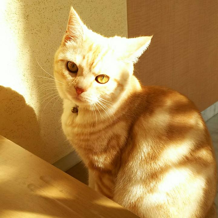 D23bdf30 0e39 4f0f 85e3 f9912b744b40