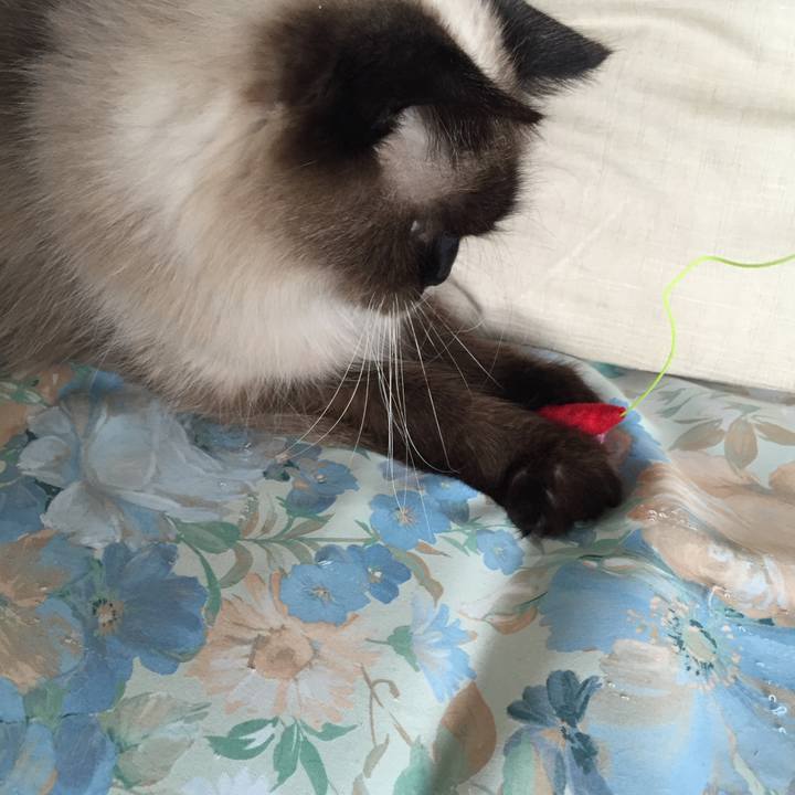 D23cb6ee 49eb 4153 92ef 5a13fe92ce5e