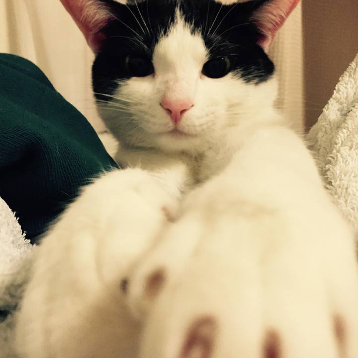 D23cfa19 b6ce 48b8 b63b 47c890323558