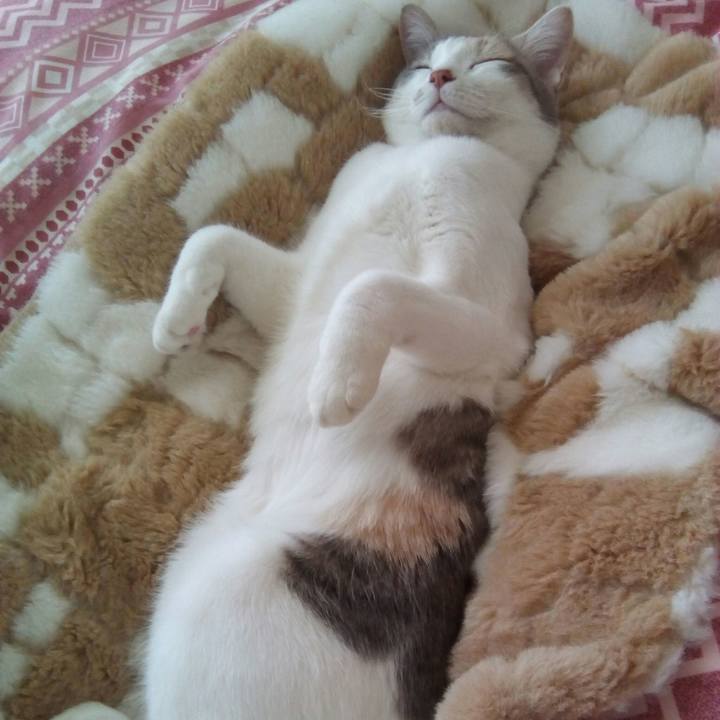 D23d2a3c 11b7 4103 a10d db76ae528250