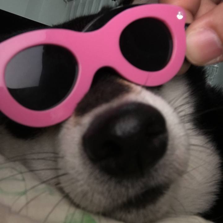 D23d68f5 dfef 47c6 b426 46f59de4aac6