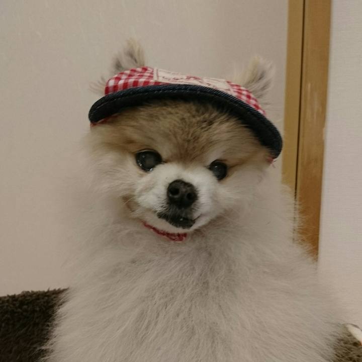 D23d6ba9 94b3 4378 974e 82801ff6b455