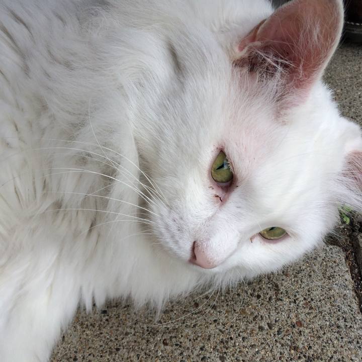 D23e14fb 0566 4f09 9e8d d993ceda557e