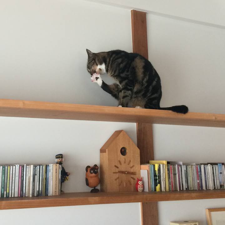 D23e1a95 d14d 4cd3 ae4b e1df85c92a15