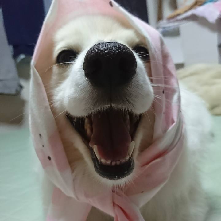 D23e67af 9b14 4019 b491 d7c84dbf98b7