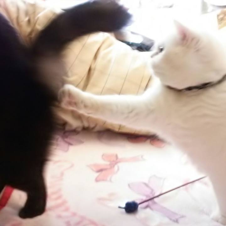 D23fdbdc f238 4043 939c 995a6a1b331b