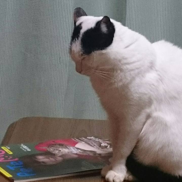 D23ff363 613f 4675 b5e4 bad0809a53d0