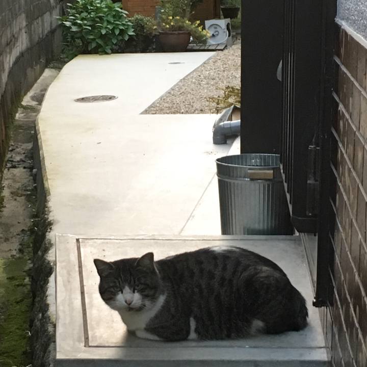 D2401019 6769 4351 afe7 923bd8d9a3c9