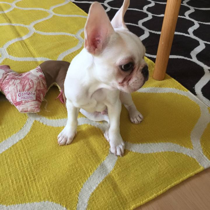 D2406cd4 5464 4ba2 b831 f7d35b90a8b5