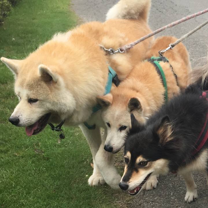 D24092e5 7675 4f32 bd11 c4429830da30