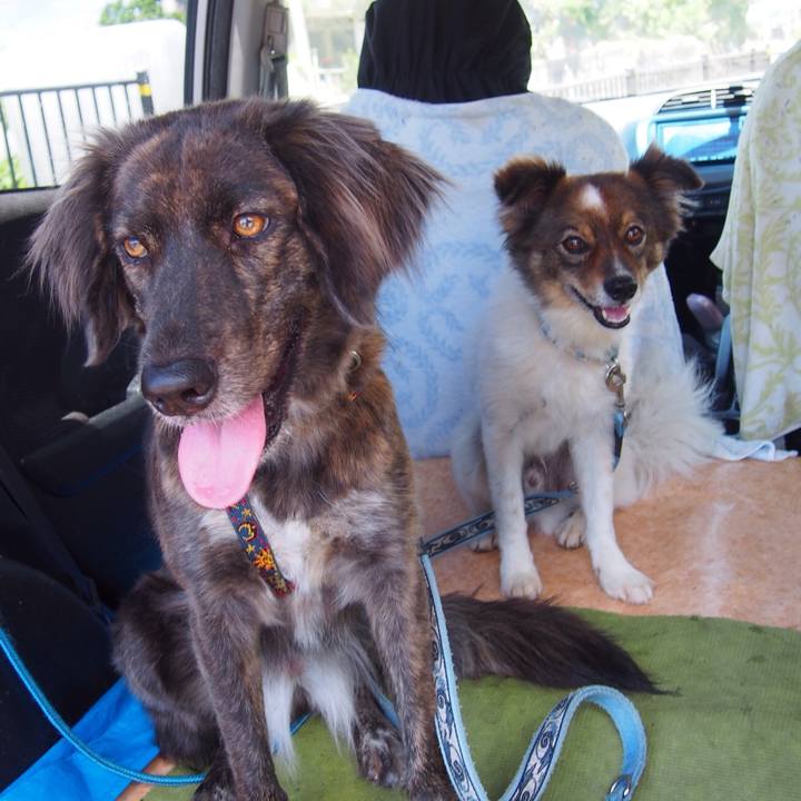 D240b906 934d 4059 93c2 8706dd470a7d