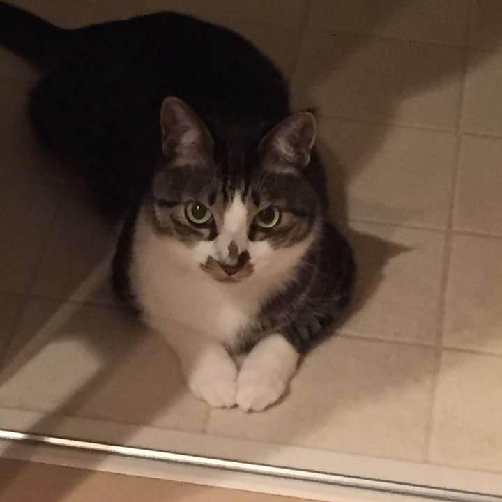 D240e913 331f 4541 8bf7 93a9efb7b251