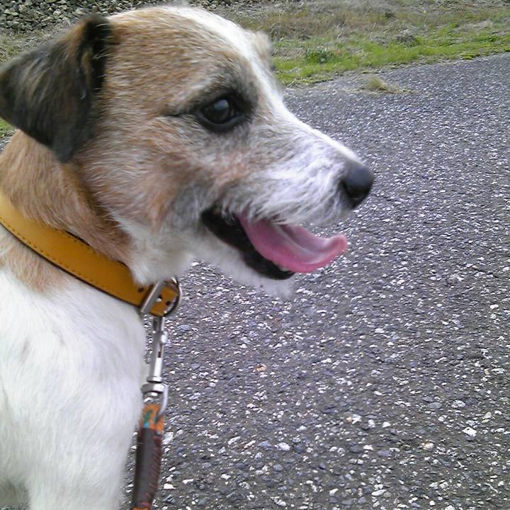 D240ee45 741a 4c06 9b6d 643b3dbd9d9e