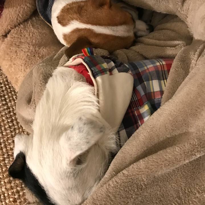 D240f131 3363 4545 85cc c3bfa606d3c0