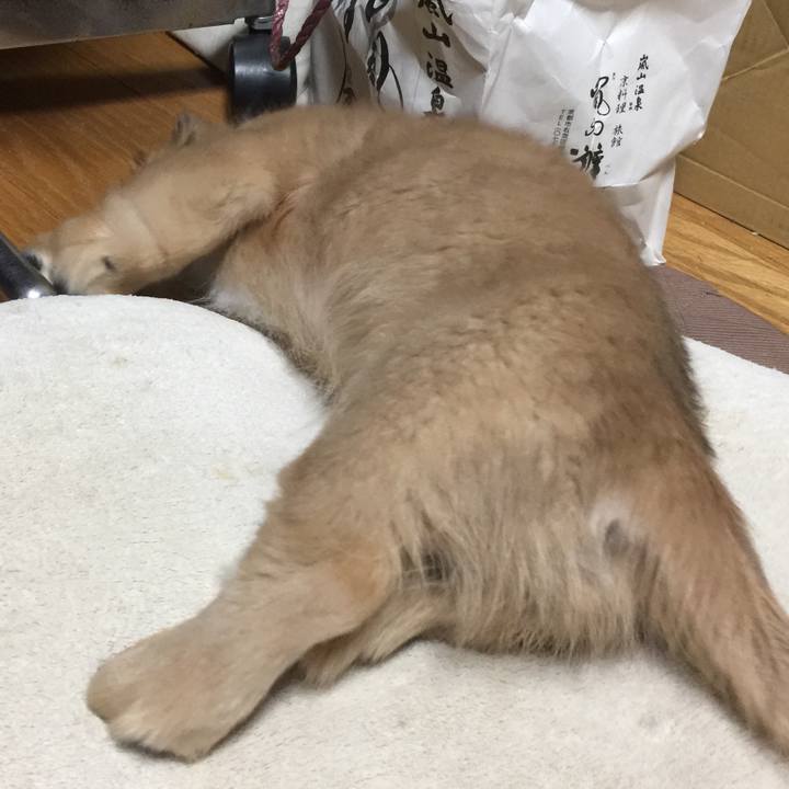 D2423441 6953 4cc8 a044 d99892ed36a2