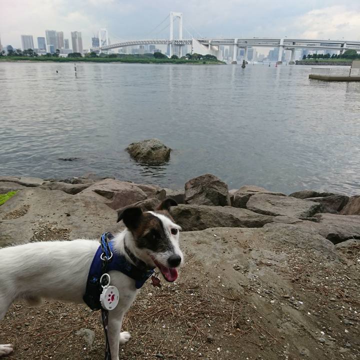 D242f670 297f 4415 95bf d73dc45f73be