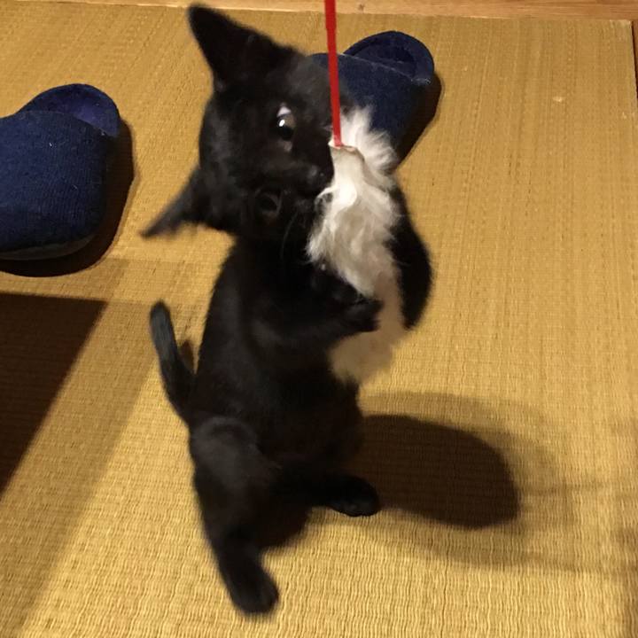 D2431c69 ee66 4102 940d 45af632134a5