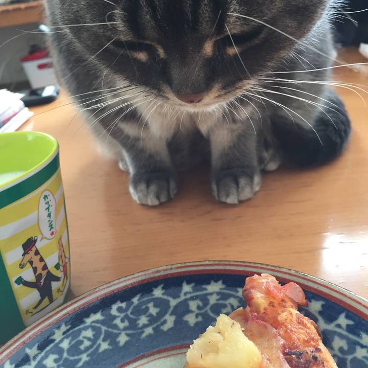 D2440534 18d0 4d2f be89 fe152fbeb0a3