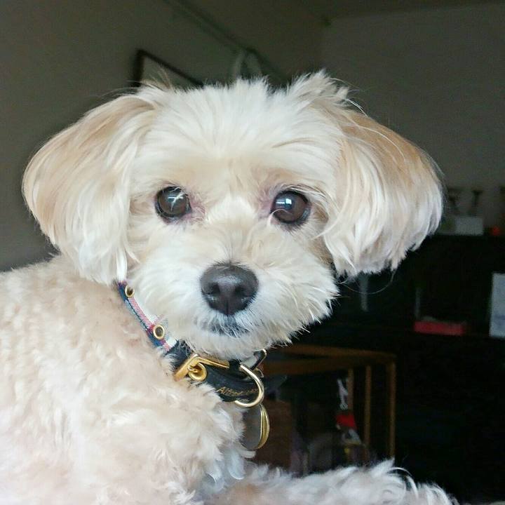 D2441a39 480a 496a 9b75 8102ef9514a5