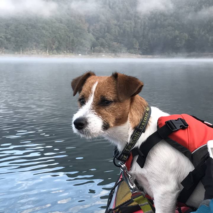 D2451fda 9818 48f2 94cc b6ce35d89a23