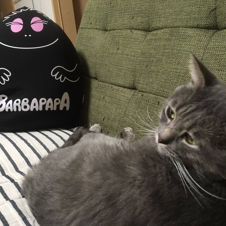 D245984f d249 4acb a268 c937ff7c2495