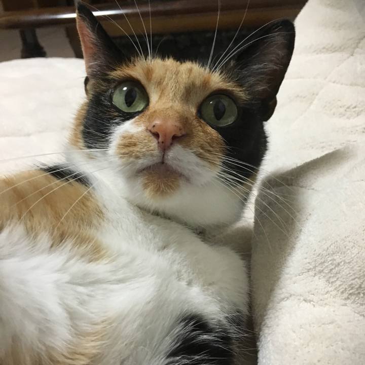 D2459dd8 2cb6 4f27 a6a0 669df4613709