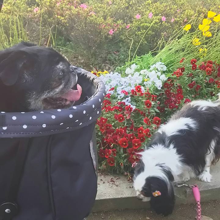 D245d197 439f 4657 b4c5 6d5adf9c907e