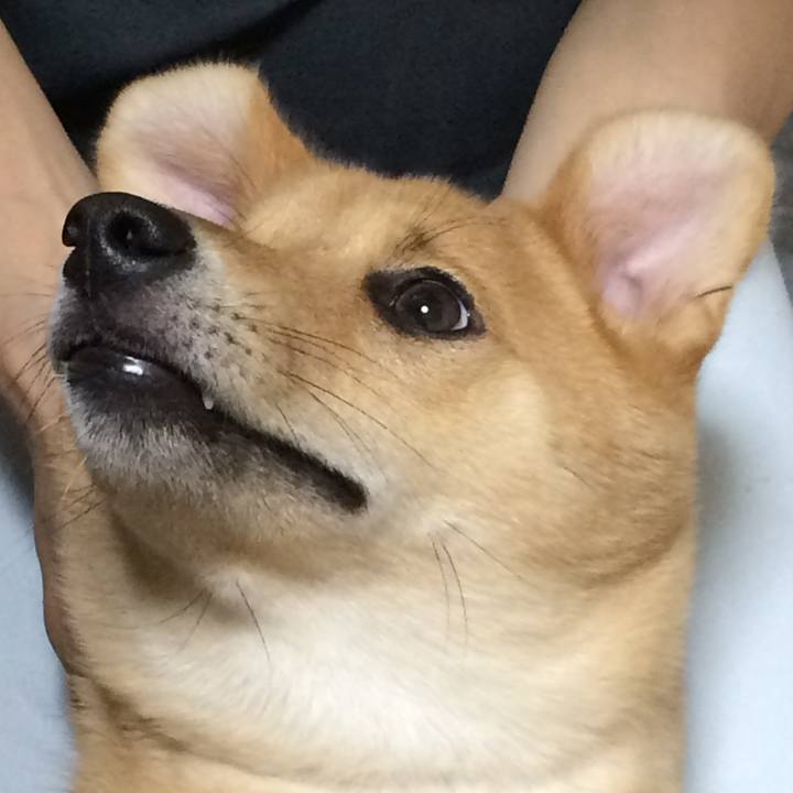 D245f669 c535 4422 b957 b18d53218348