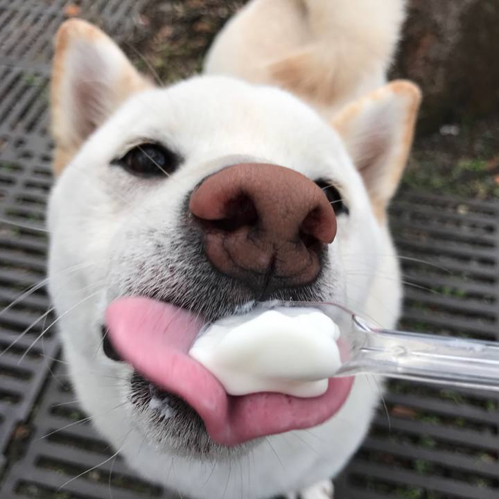 D246235b 8d2a 41a9 a7ad 872fbf440850