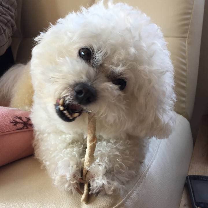 D2462f05 5e09 4798 8492 a44012f75b97