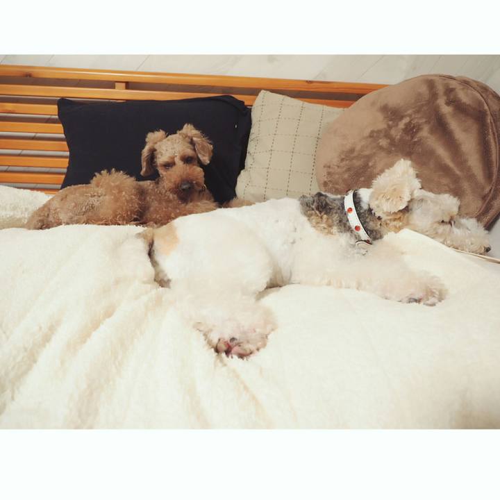 D2463483 d761 4772 b5a9 780cdd0416a5