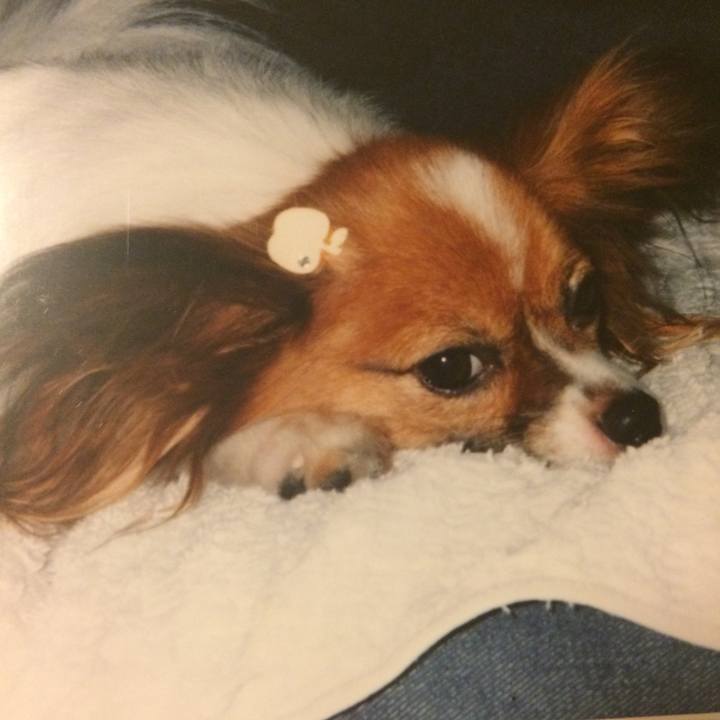 D246349f 5afe 44cb 83e8 cffbde47040d