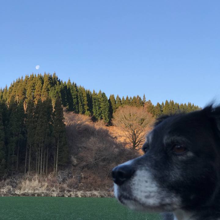 D2469b64 ae52 47dd be19 38e2c6948b77