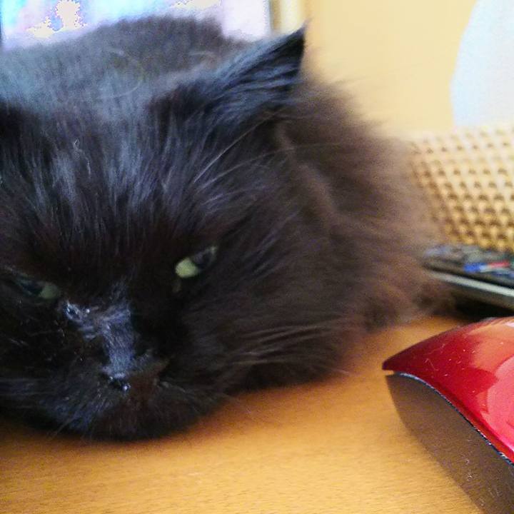 D246a0d6 15c6 48a5 a0c3 2031134dcc87