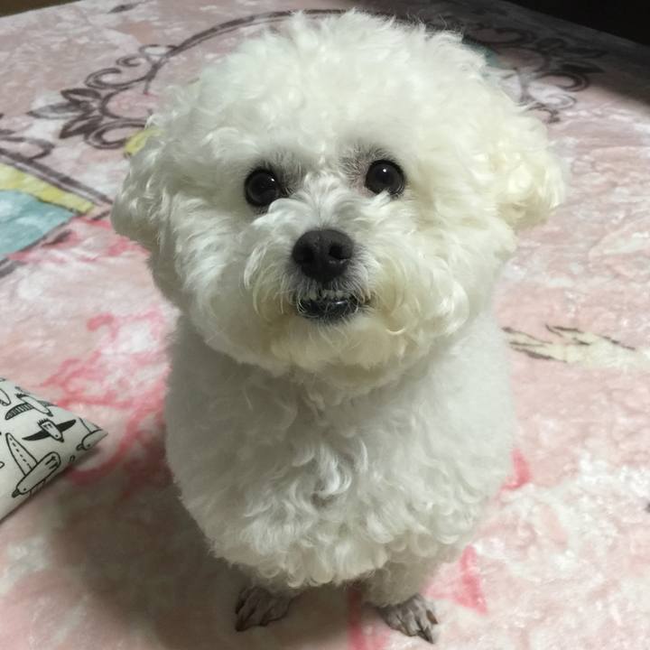 D246efd4 9aeb 443c 8d61 4901b8a2affb