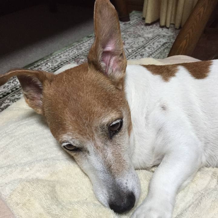 D24775a7 89c3 4e0e b023 b974af1d2ac4