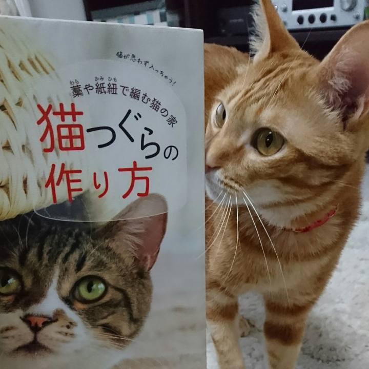 D2481709 4b17 48d9 82c8 187eb5fb3b9d