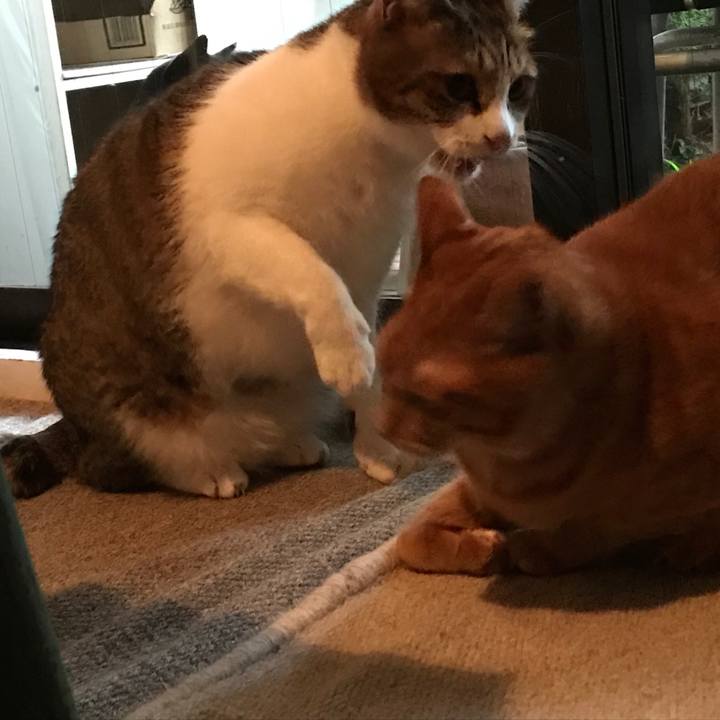 D24820ae 6d3f 4428 955c 19a946e9b7b9