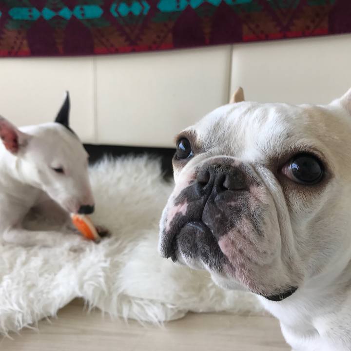 D2498a20 0ac4 4bf4 90ea 23e998ba0b80