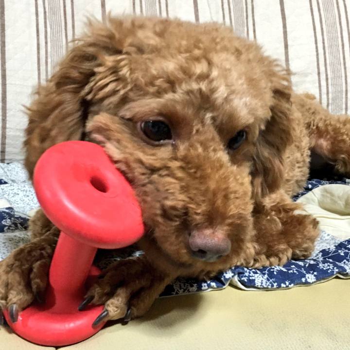 D249e568 2594 4ba3 8dec e10466918bdb