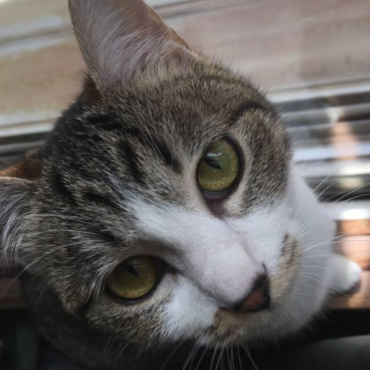 D249f8a4 f499 4719 bb76 5800b82481eb