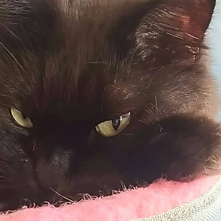 D24a05de f7d9 461a 81f6 5d2f375fe678