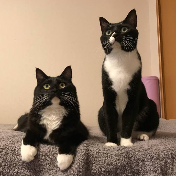 D24a8d35 d161 4958 b635 4675ee38f8cc