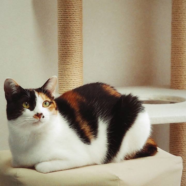 D24ad45a 574f 4cf4 8c4c dca9d97b0d6d