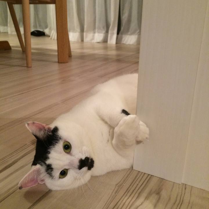 D24b7a6d f161 491d b278 37840fe20314