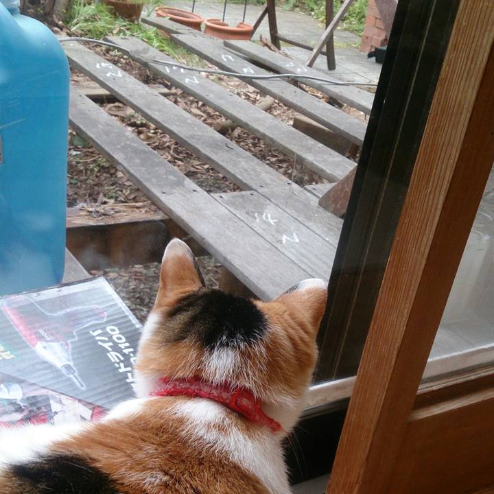 D24bfa8e 12f3 493b af03 831d2c88d3c0