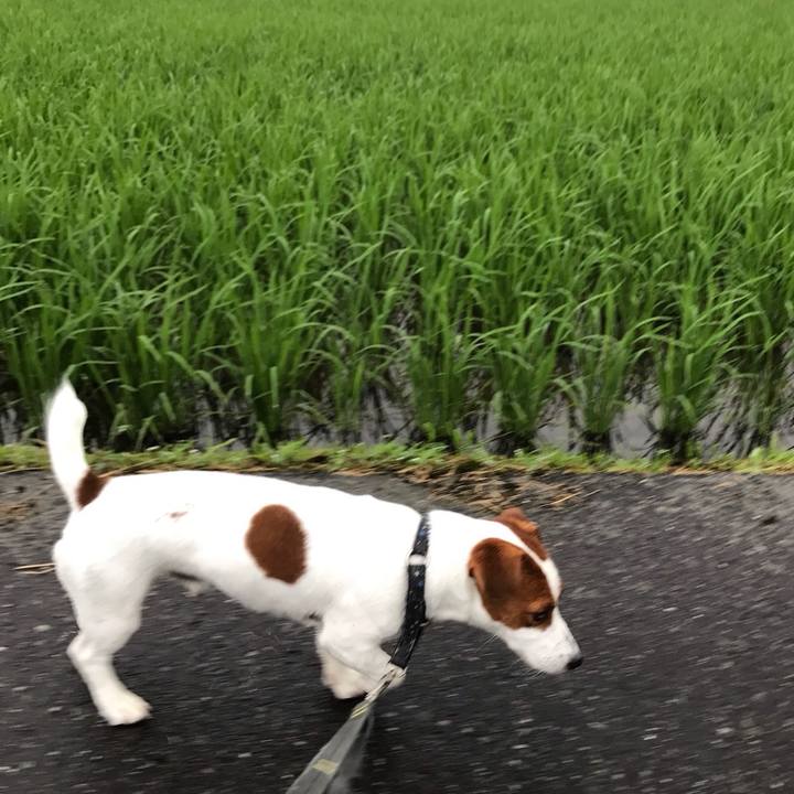 D24cd707 9c6e 41ce 88f6 9bdb14399a9d