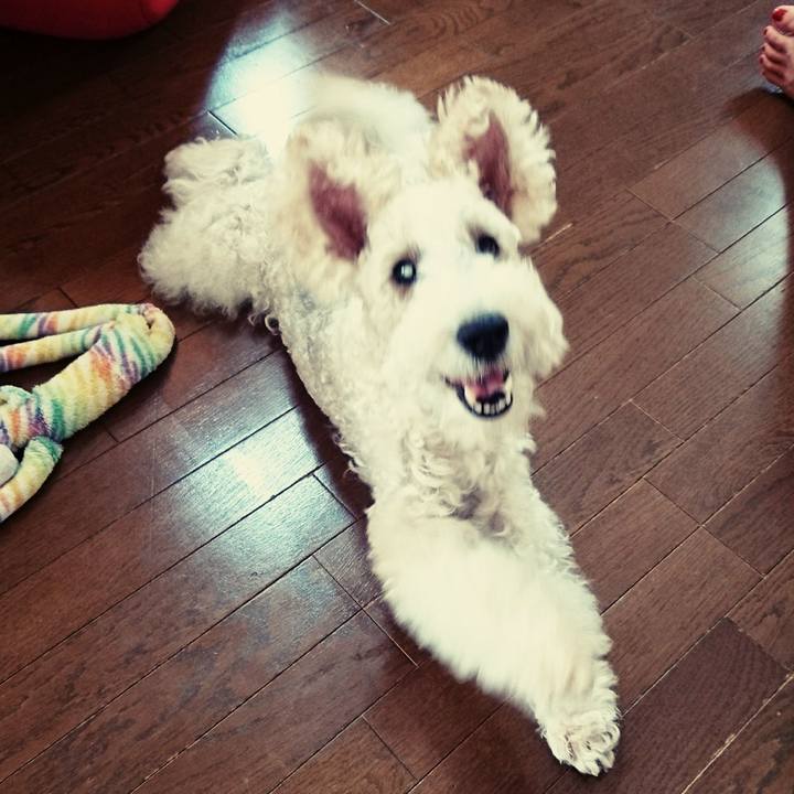 D24e62aa b7f8 43eb a4f1 d1dd95dfe1f2