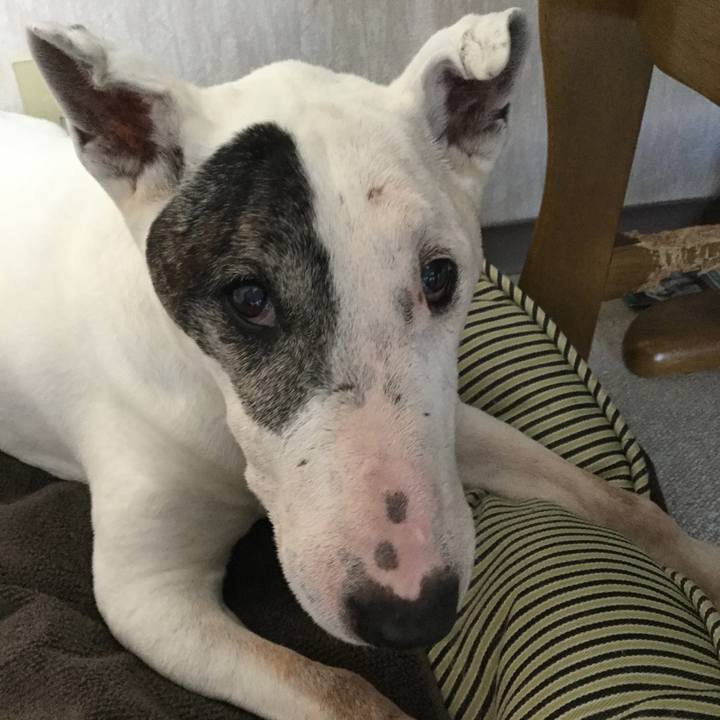 D24e9b53 9154 4011 a559 d38a2b757309