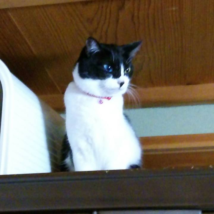 D24ee41b 5607 4144 9b2a 6b9f15b294e0